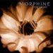 Morphone: The Night