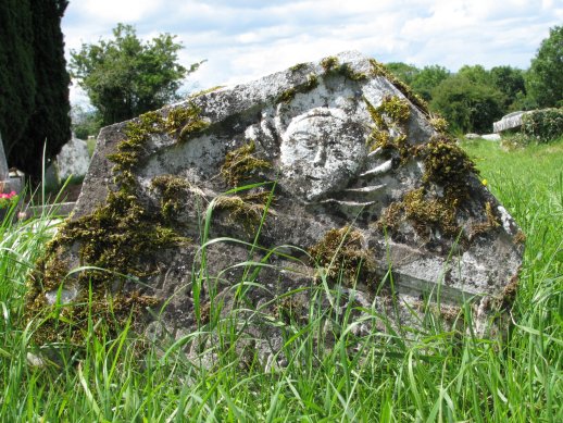 Headstone, Kilmacduagh Monastery - County Galway